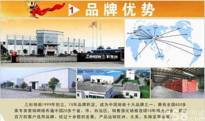 三杉地板犍为县招商 携手龙头品牌，共赢地板财富新蓝海